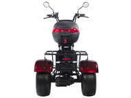 Электротрицикл SKYBOARD TRIKE BR80
