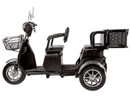 Электротрицикл Rutrike S2 L1 трансформер