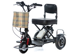 OxyVolt HandyTrike 2 Li-ion (48V 12AH) 500W OxyVolt HandyTrike 2 Li-ion (48V 12AH) 500W